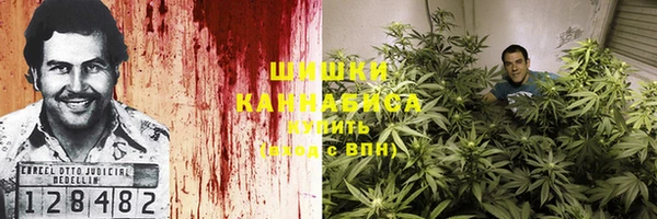 стаф Богородицк
