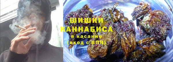 стаф Богородицк
