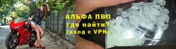 стаф Богородицк
