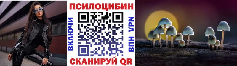 Псилоцибиновые грибы Psilocybe  наркота  Ярцево 